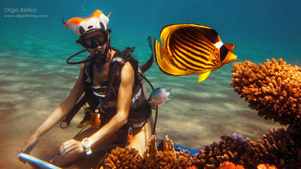 unique artist olga belka painting underwater